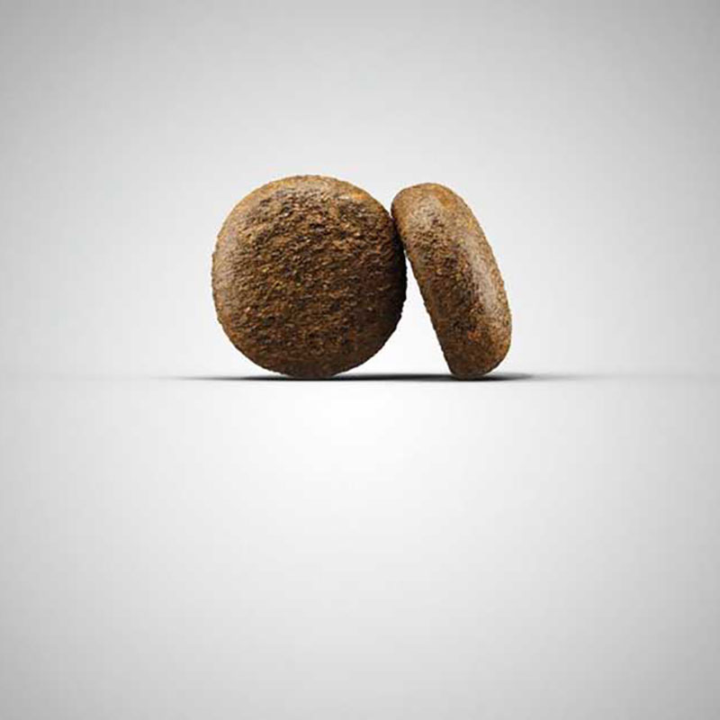 Super Premium suha hrana za pse s janjetinom, piletinom i začinskim biljem i voćem za odrasle aktivne pse