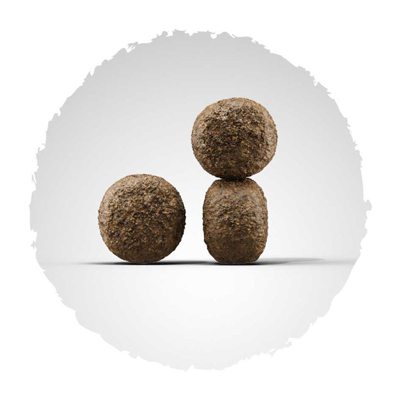 Josera Super Premium suha hrana za pse.