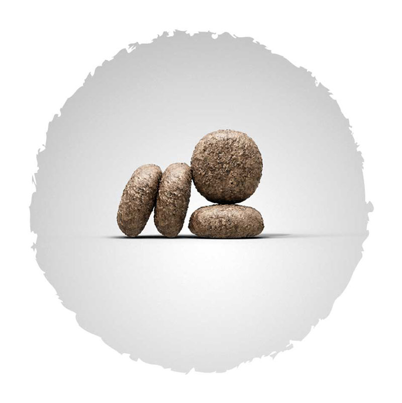 Josera Super Premium suha hrana za pse.