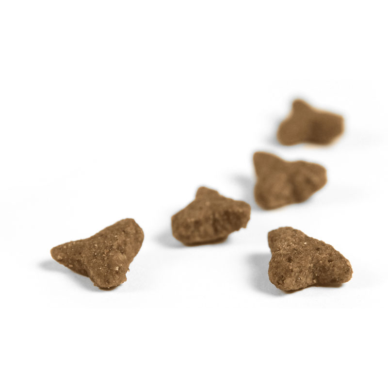 Josera Super Premium suha hrana za mačke